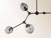 Noella Chandelier
