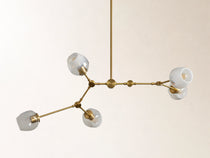 Noella Chandelier