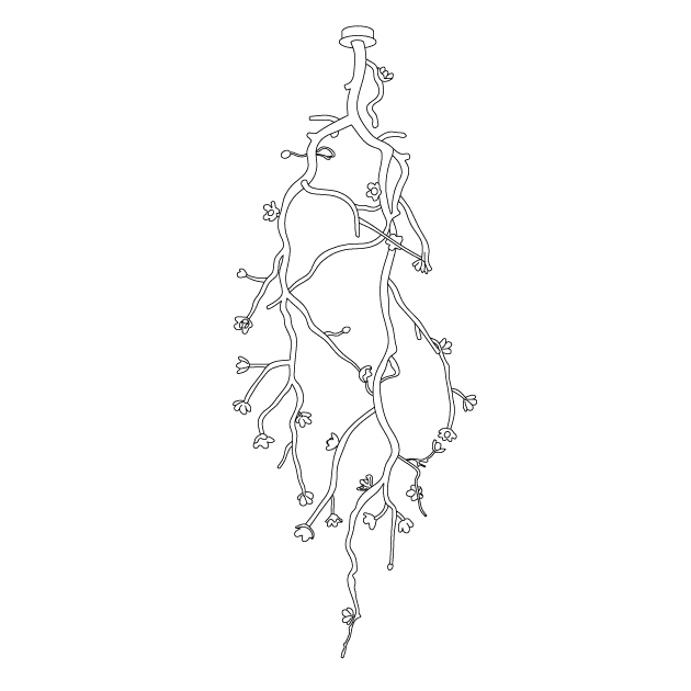 Large Long Branch Flower Chandelier Secondary image