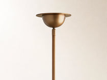 Saguaro Chandelier
