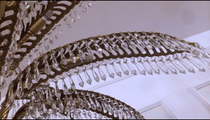Luxury Palm Tree Crystal Chandelier in Brass for Living Room and Low Ceiling Spaces