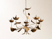 Ninfea Chandelier