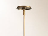 Wescott Globe Pendant with Rod