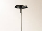 Wescott Globe Pendant with Rod