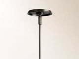Wescott Globe Pendant with Rod