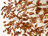 Fiore Crown Chandelier with Amber Glass