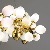 Fashion Grape Circle Branch Chandelier