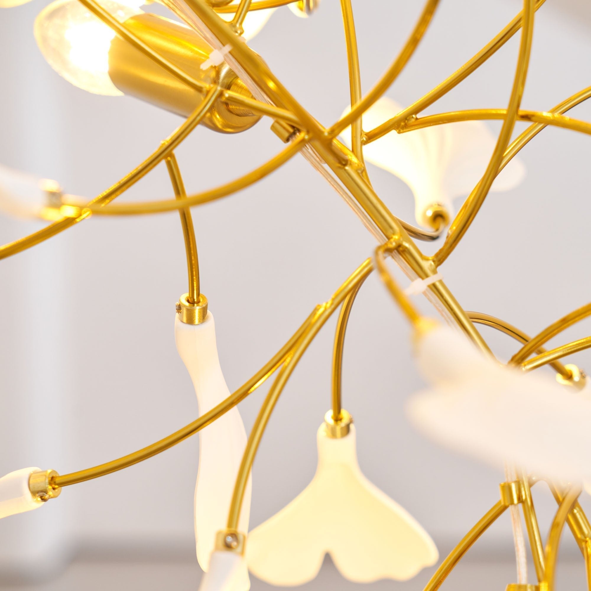 Gingko Chandelier F