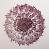 Gorgeous Murano Quadriedri Prisms Chandelier