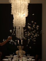 Modern Nerida Shell Chandelier
