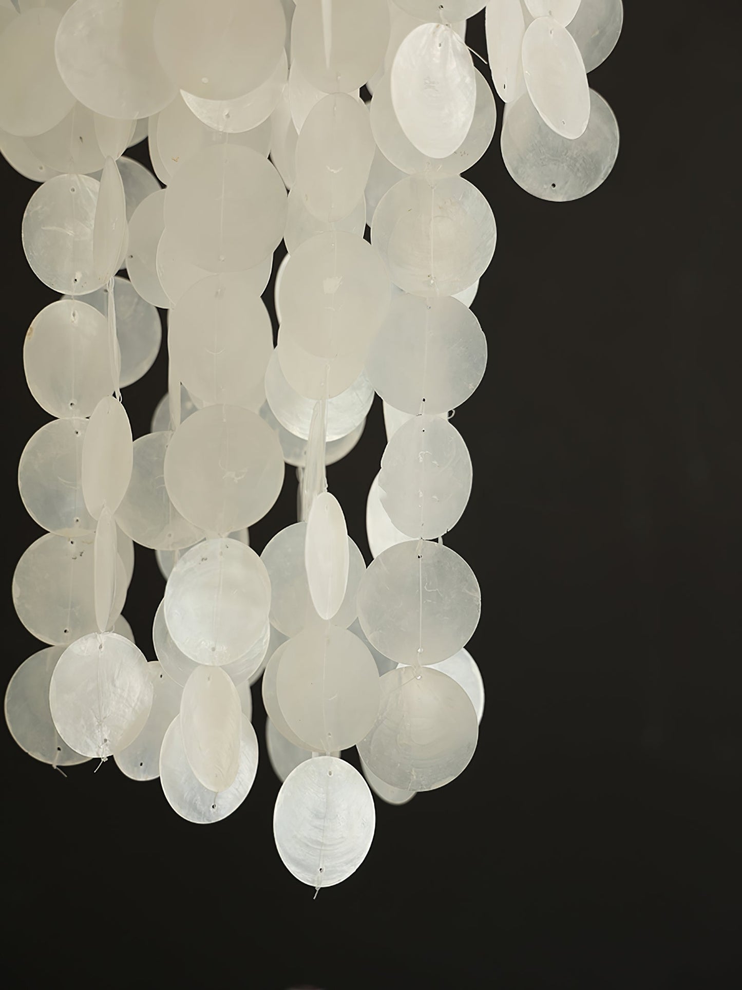 Modern Nerida Shell Chandelier