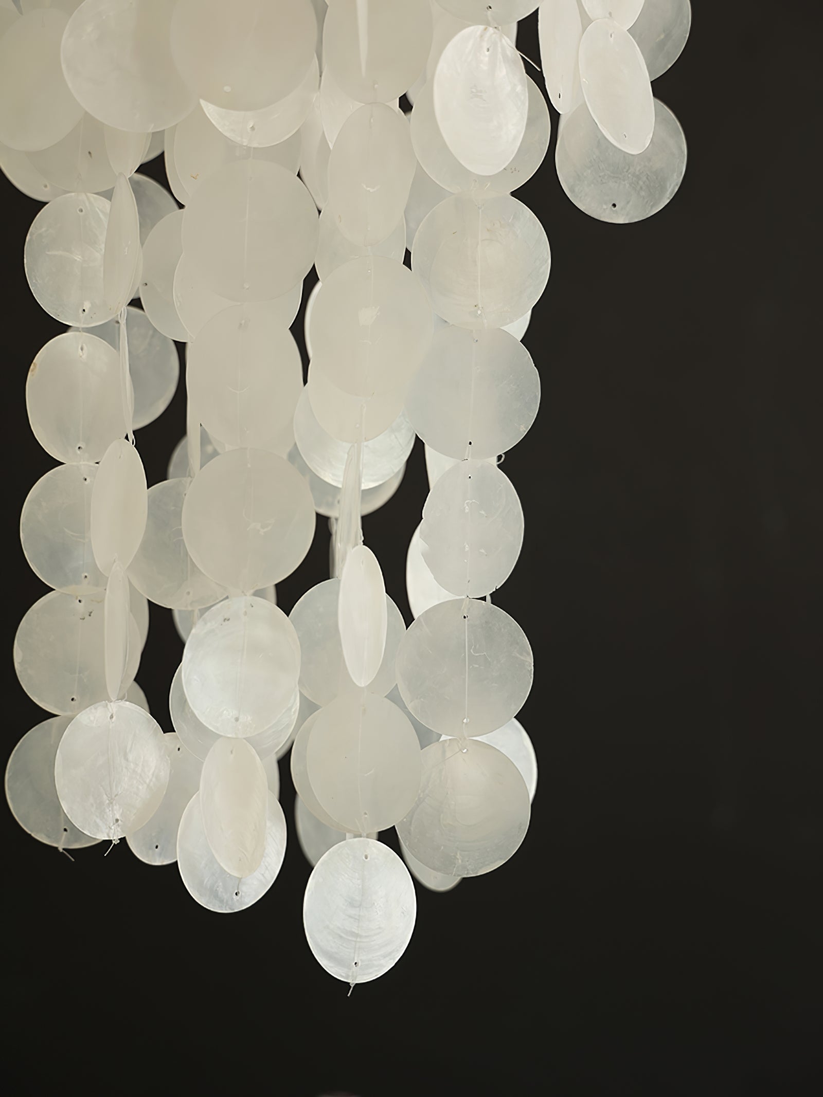 Modern Nerida Shell Chandelier