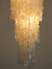 Nerida Shell Chandelier