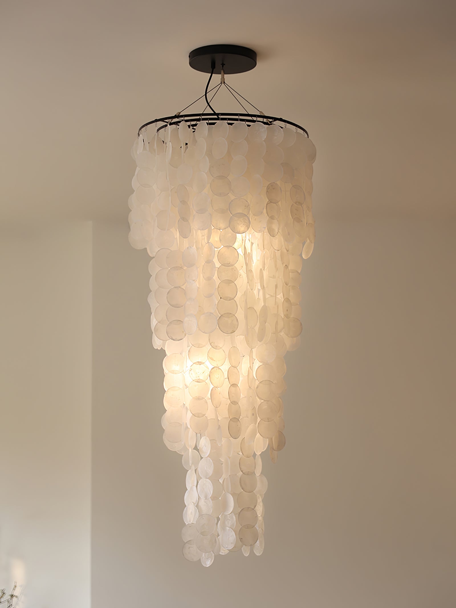 Modern Nerida Shell Chandelier