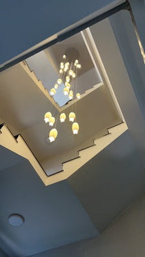 Elegant Flower Chandelier For Foyer/ Staircase