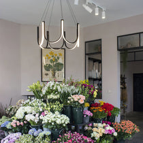 U Shape LED Chandelier