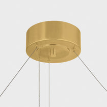 Robert LED Chandelier (29.5"–61")